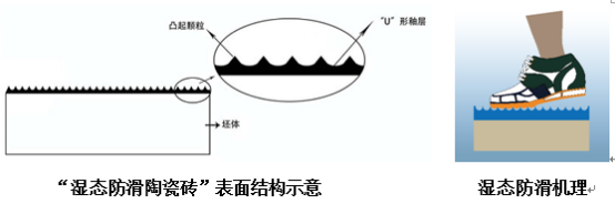 AG尊龙地砖“湿态防滑陶瓷砖”机理结构图